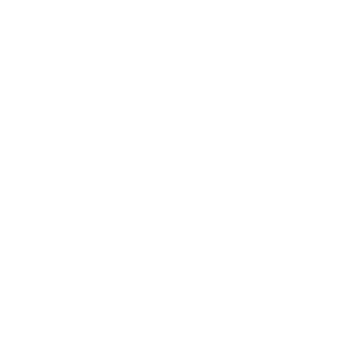 logo KF white